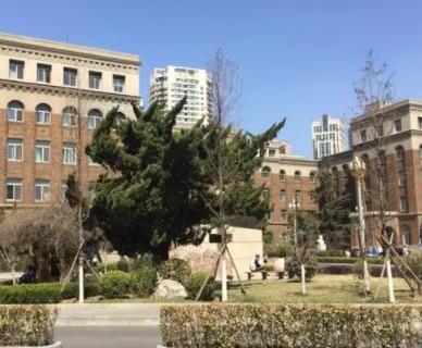 https://www.111237.com/static/yiyuan/大连大学附属中山医院口腔科.jpg
